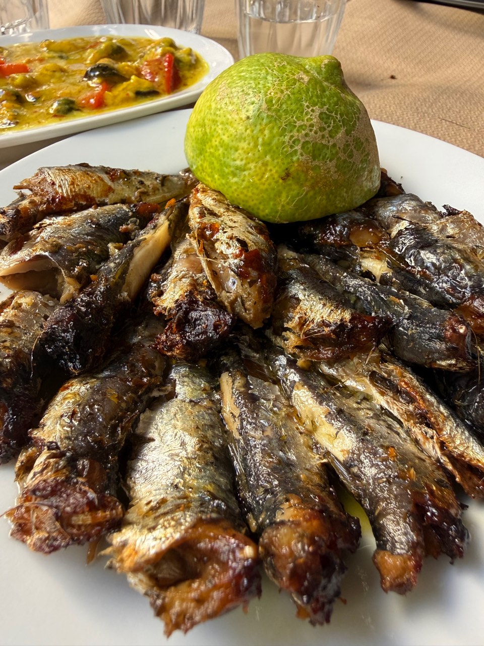Sardines